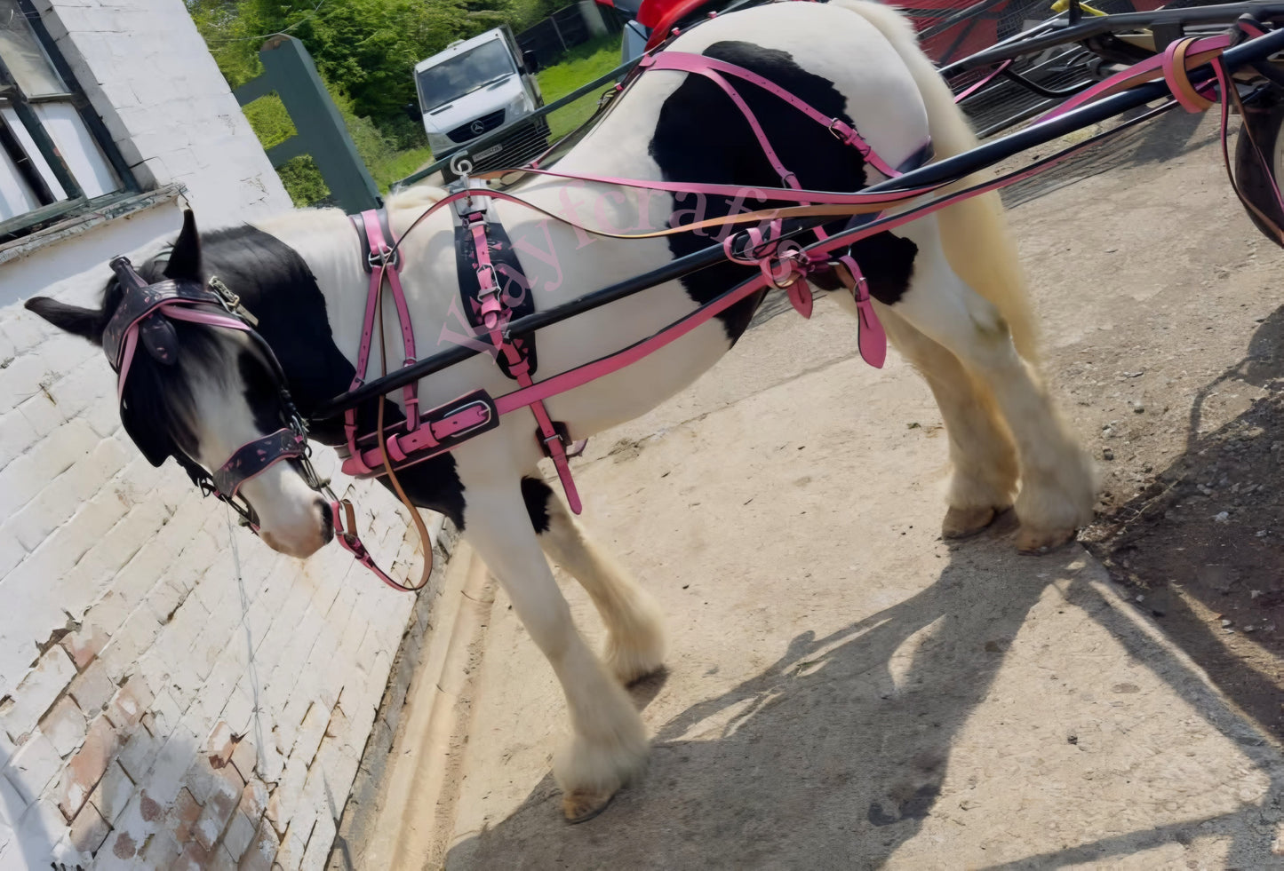 Black & Pink Leather Horse Driving Harness Complete set