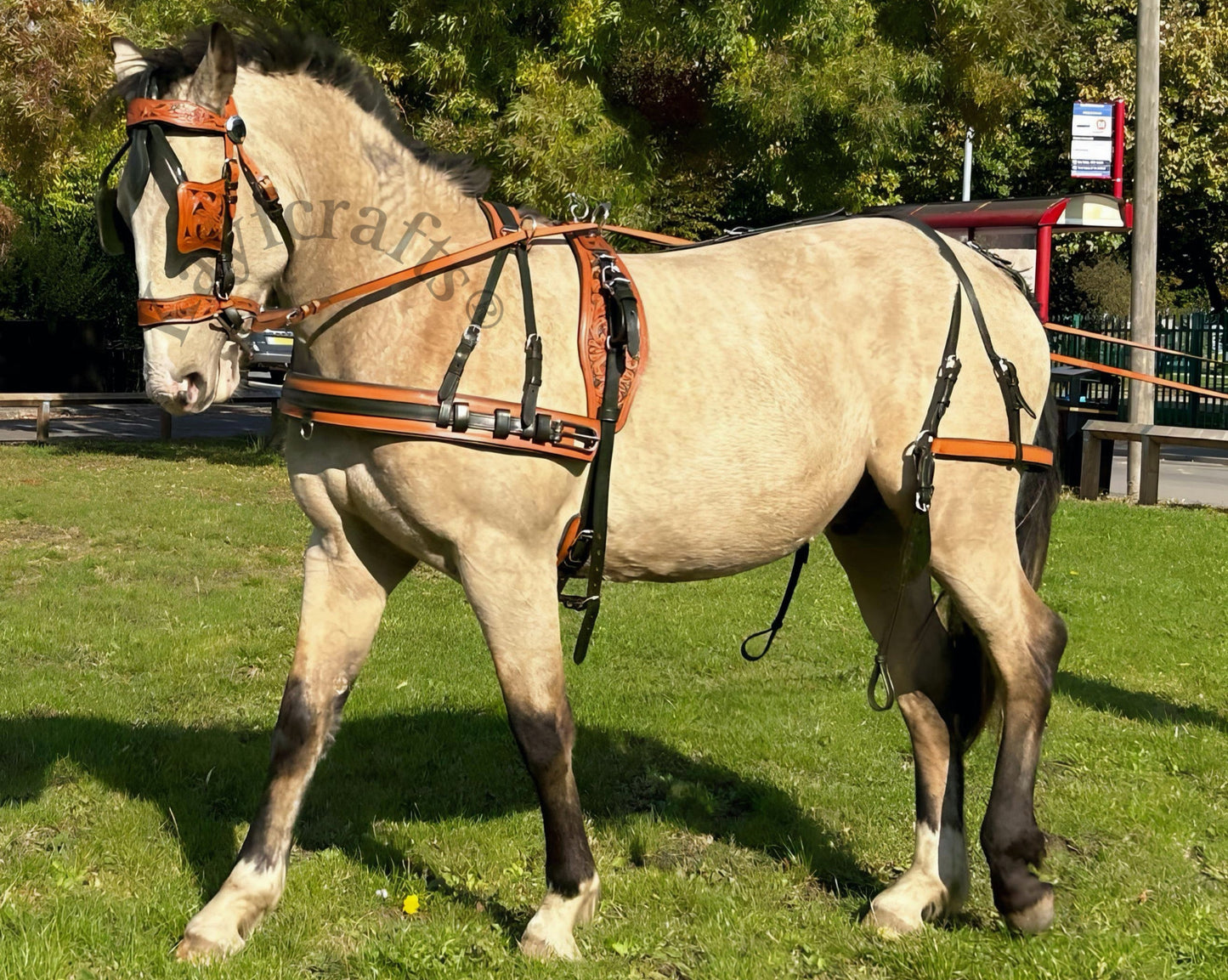 Premium Dual Tone Leather Horse Driving Harness Set Olive Green & Natural with Hand Tooled Design