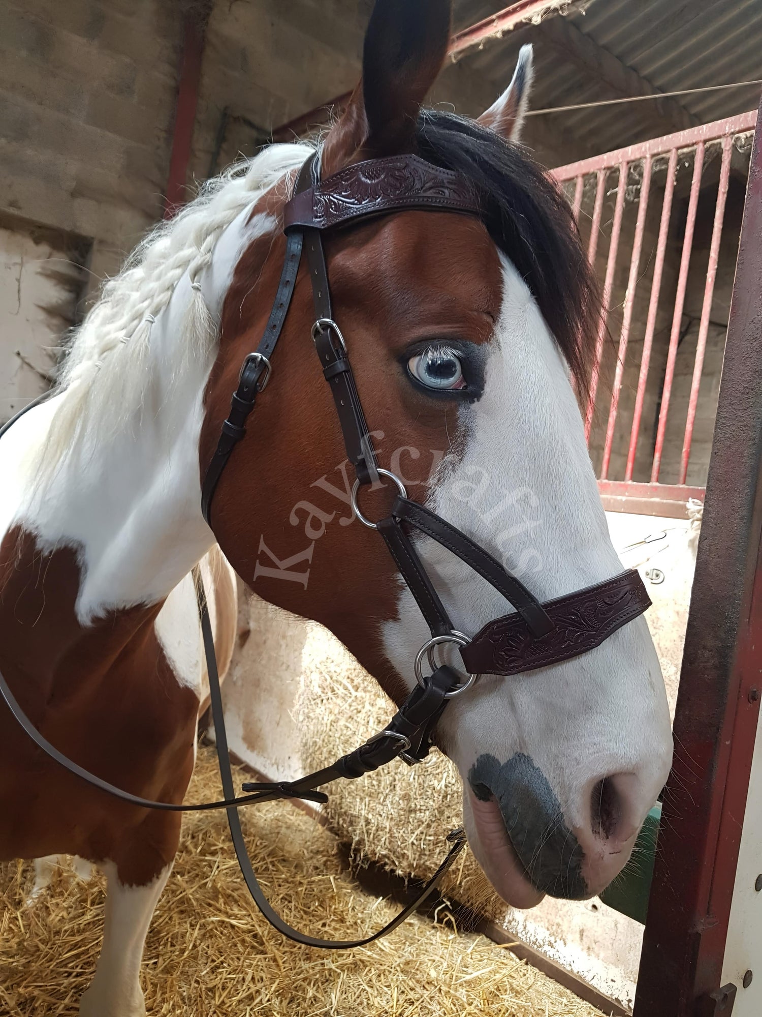 Side Pull Bitless Bridles Hand Tooled Leather Horse Bridles